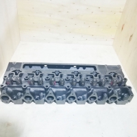 Cylinder head assembly 3973493 (3)